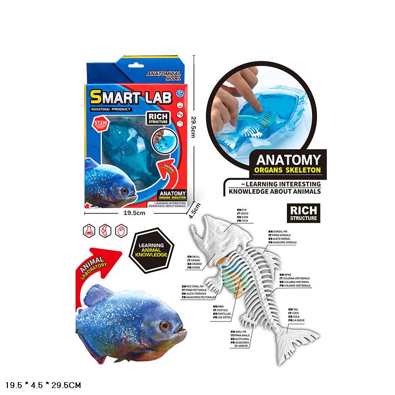 Лаборатонний набір Акула арт.802B (48шт) скелет, внутрішні органи, короб.19,5*4,5*29,5см