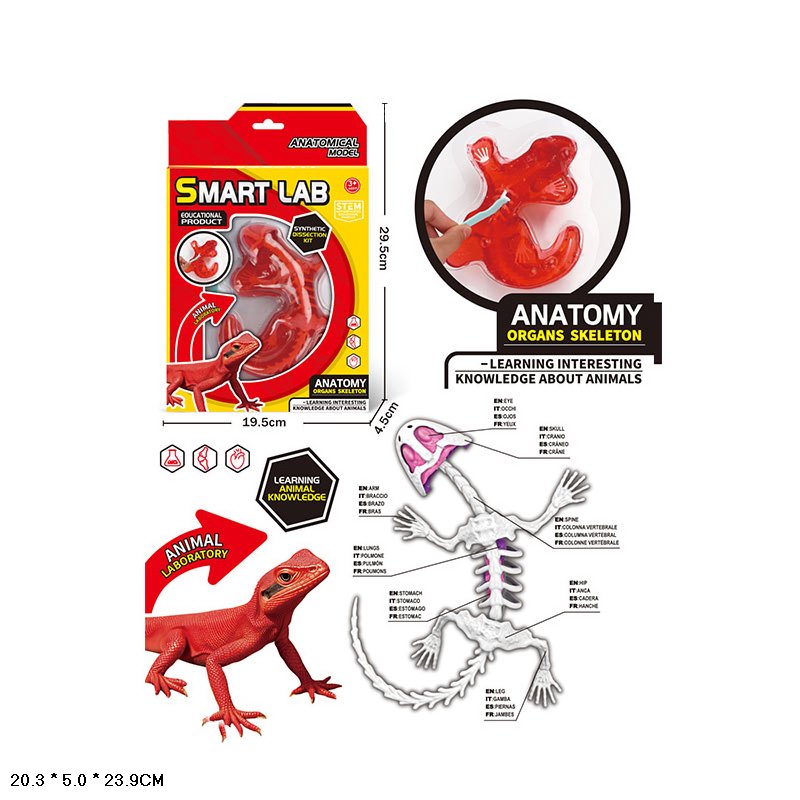 Лаборатонний набір Ящірка арт.803B (48шт) скелет, внутрішні органи, короб.19,5*4,5*29,5см