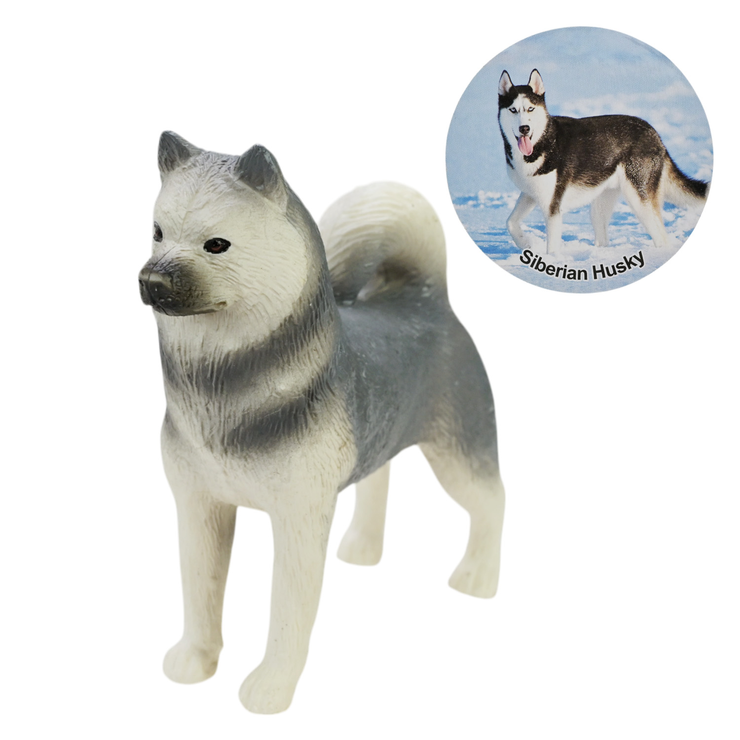 Тварини песики арт. TBS086 (432шт/2) р-р 7*6 см, 36дисп бокс по 12шт 20*7,5*18см.