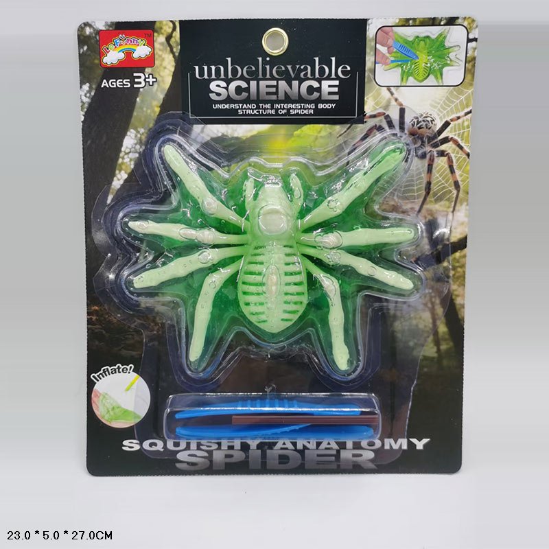 Лаборатонний набір Павук арт.87239C (72шт) скелет, внутрішні органи, короб. 23*5*27см