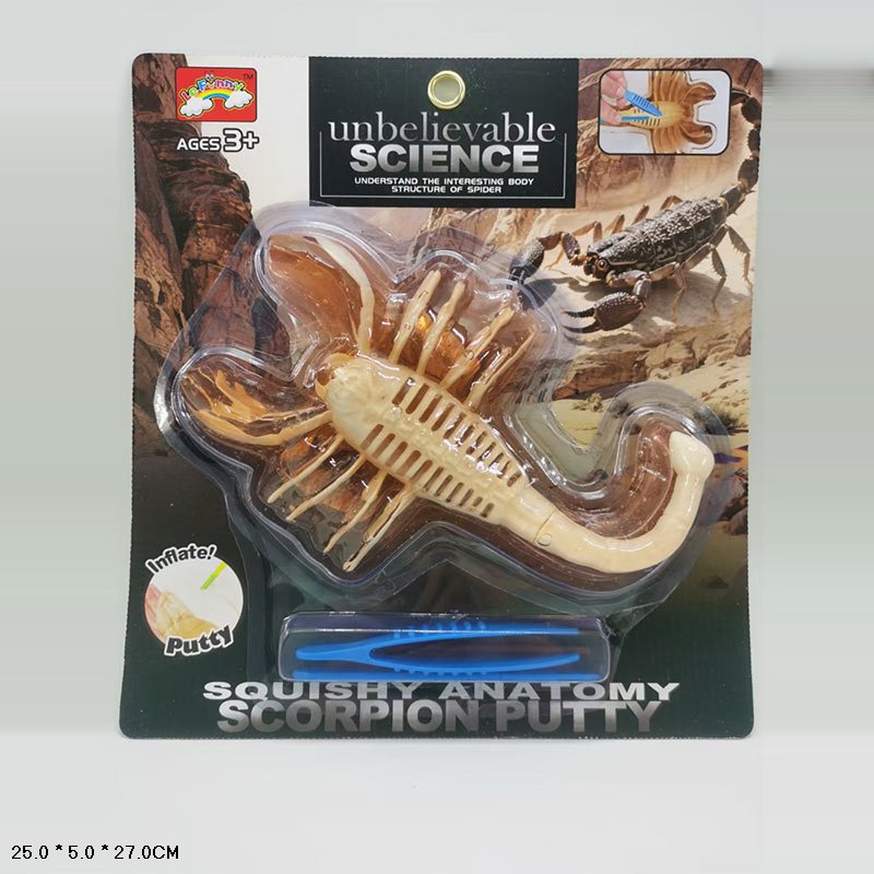 Лаборатонний набір Скорпіон арт.87239D (72шт) скелет, внутрішні органи, короб. 23*5*27см